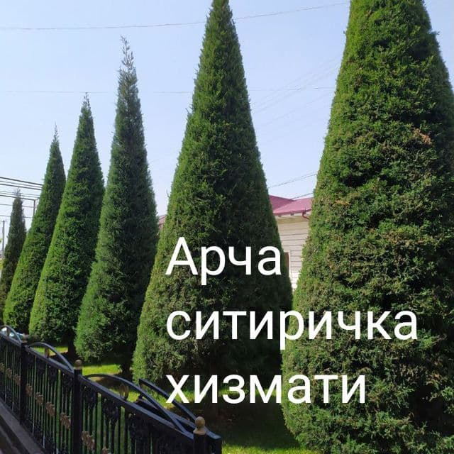 Sadovnik bogbon lanshaft tok darax archa gazon xizmati — 1