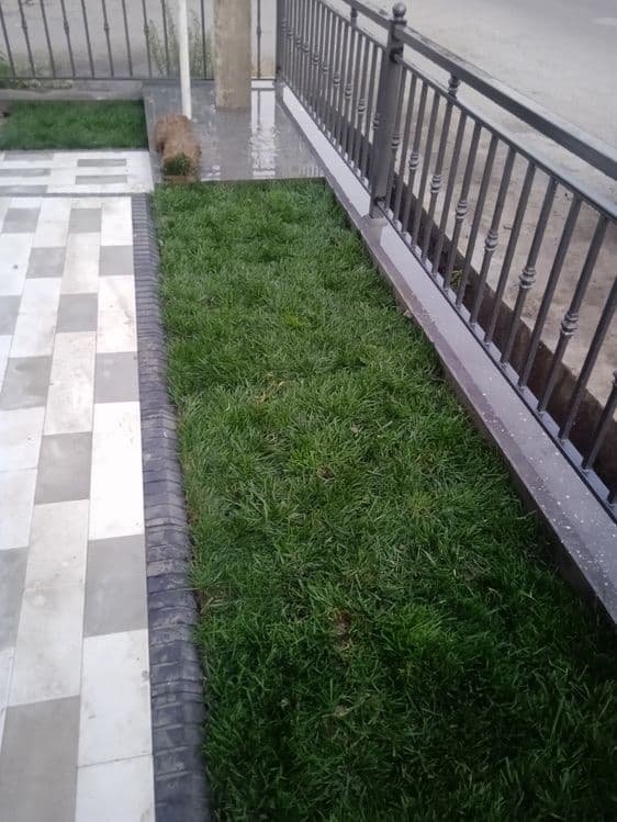 Sadovnik bogbon lanshaft tok darax archa gazon xizmati — 5