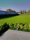 Gazon ekish archa kesish dorlash xizmati