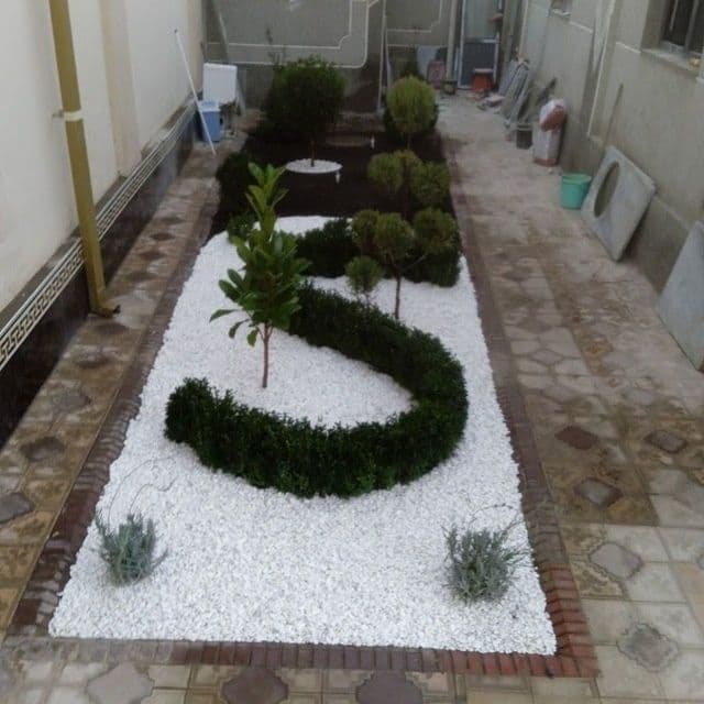 Gazon ekish archa kesish dorlash xizmati — 3