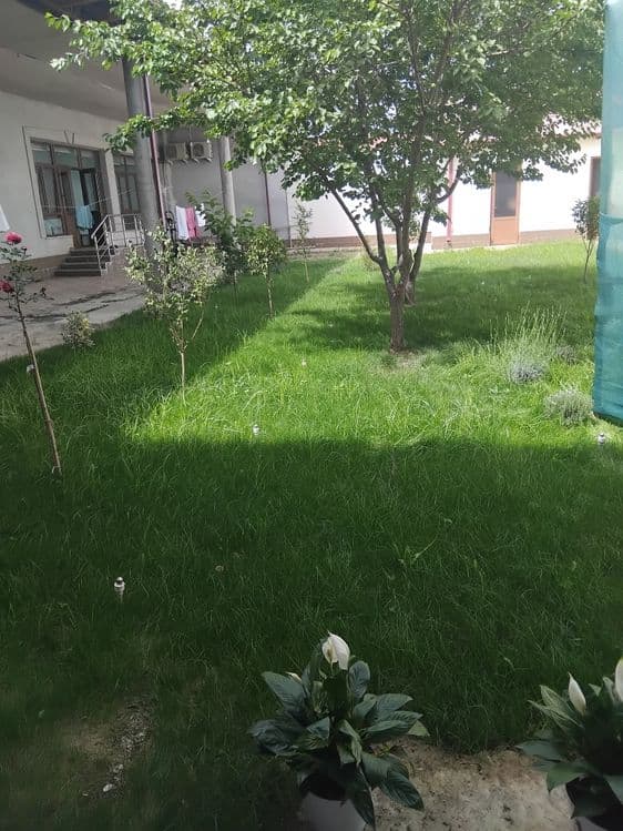 Gazon ekish archa kesish dorlash xizmati — 5