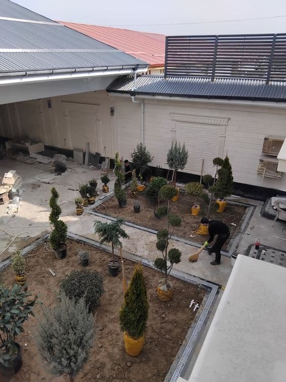 Gazon ekish archa kesish dorlash xizmati — 6