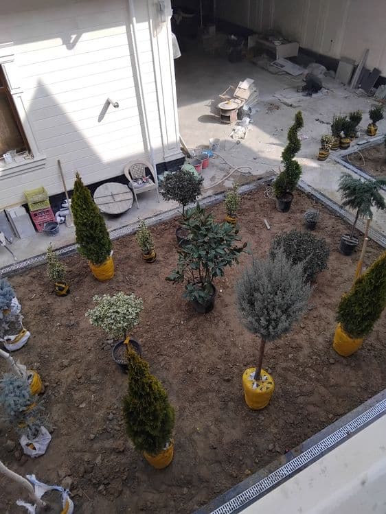 Gazon ekish archa kesish dorlash xizmati — 7