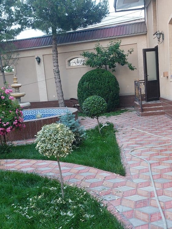 Archa va gullarga shakil berish xizmati — 3