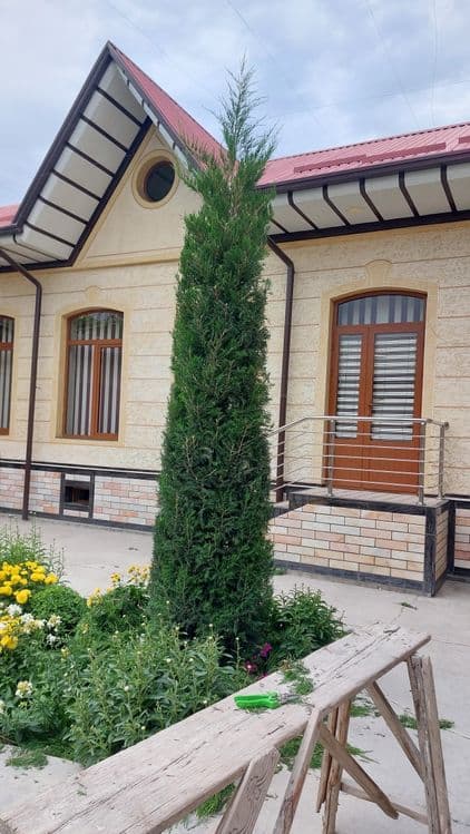 Archa va gullarga shakil berish xizmati — 4