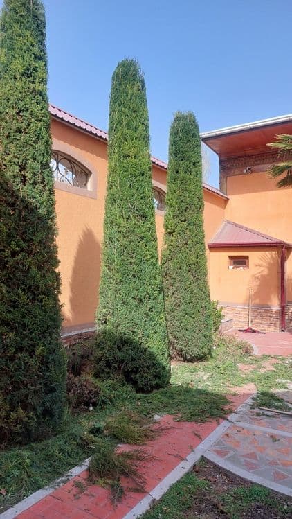 Archa va gullarga shakil berish xizmati — 6