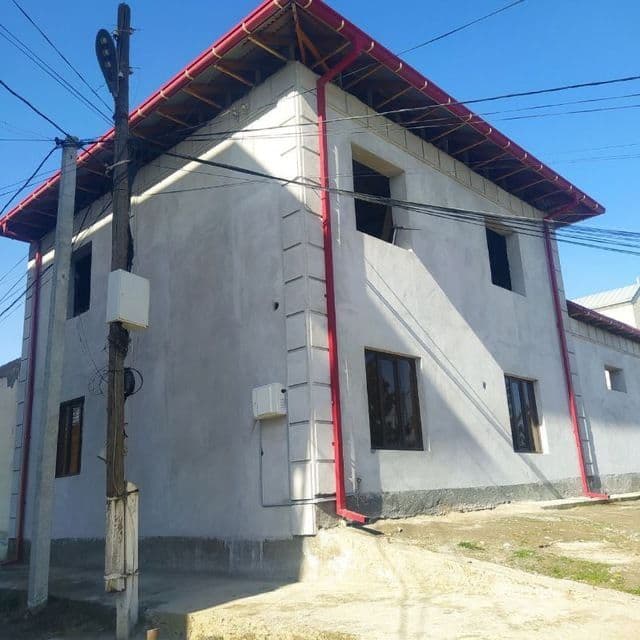 Шкатурка малярка стаячка — 2
