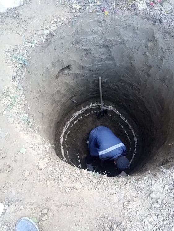 Kalodis qazish xizmati — 2