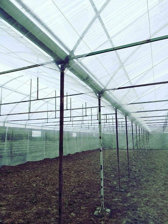 Том парник иссикхона сурток валиш курамиз сфатли тез ва пухта — 4