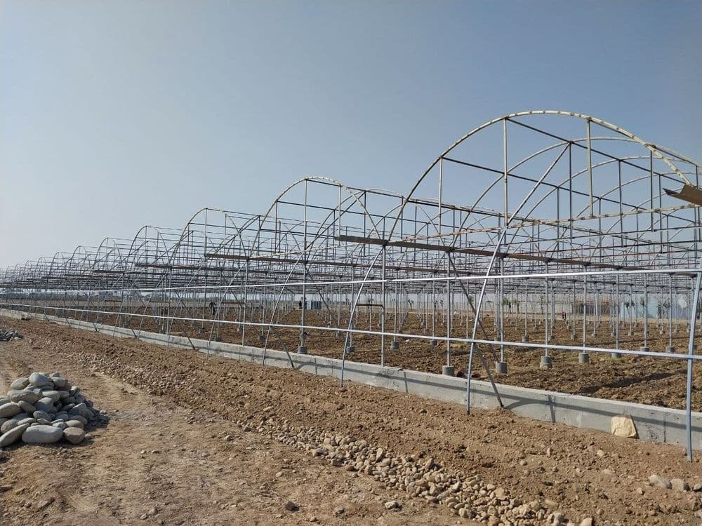 Kantinet va bozor pirofillardan tom va naves qurish xizmati — 7