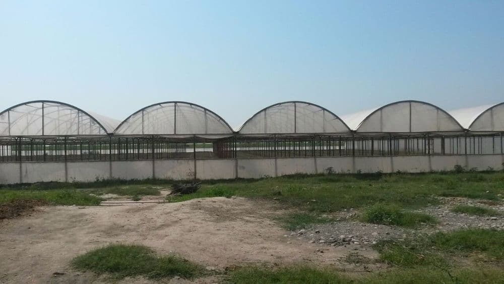 Сиз истаган парникларни куриб бера оламиз — 4