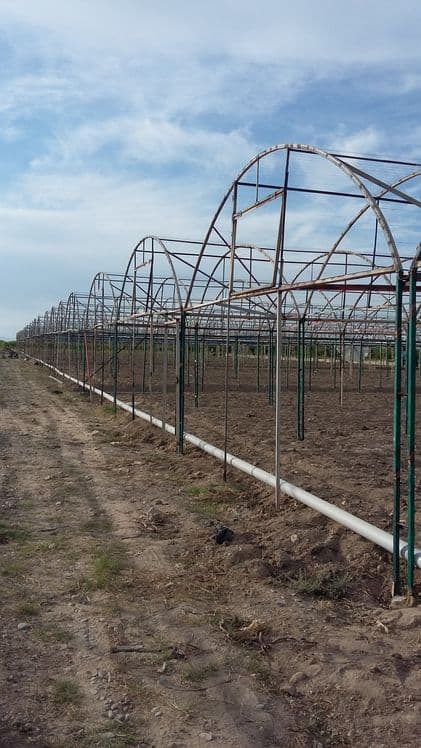 Парник иссикхона курамиз химатимиз кафолатга эга — 4