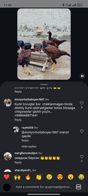 Telvizor ustasi. Oʻrnatish ustanovka piragrammalar youtube isozlash — 3