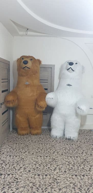 Remont damlik ayiqlar — 4