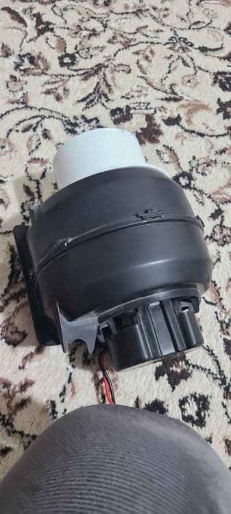 Remont damlik ayiqlar — 5