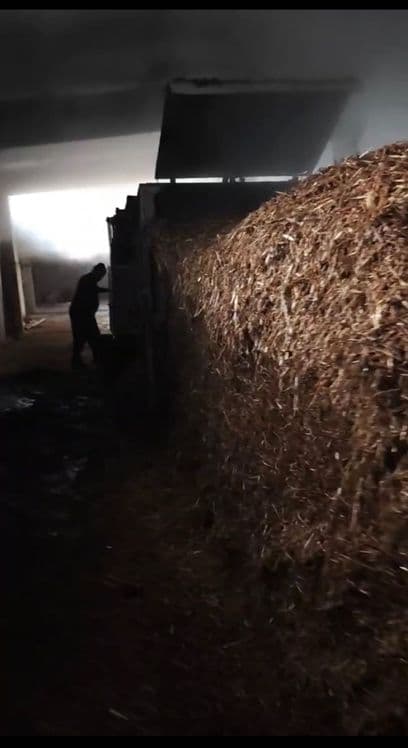 Shampinyon uchun kompost tayyorlaymiz , компост для шампиньонов