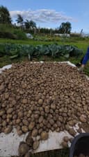 Услуга работников