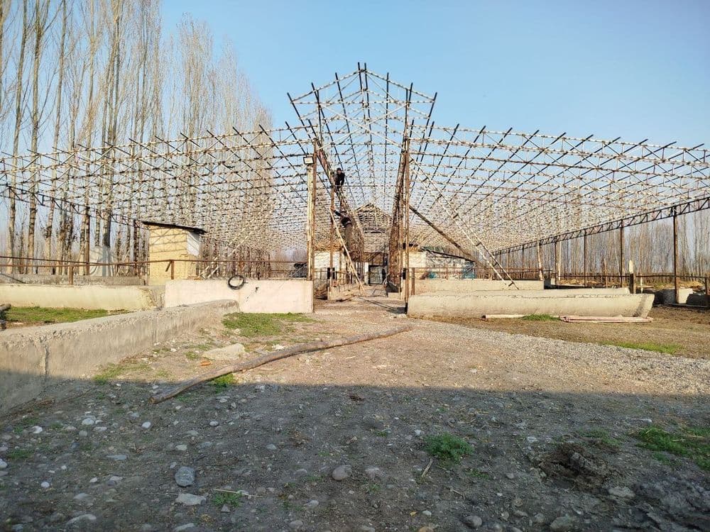Barcha turdagi Molxona tomini yopamiz — 5