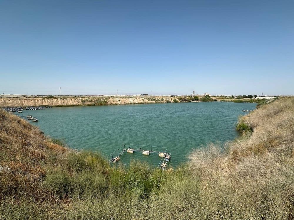 Платная рыбалка Самарканд , Аэропорт — 3