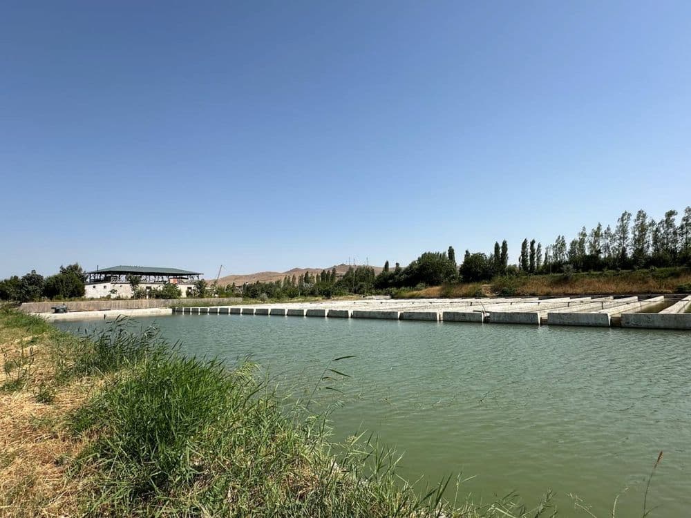 Платная рыбалка Самарканд , Аэропорт — 4