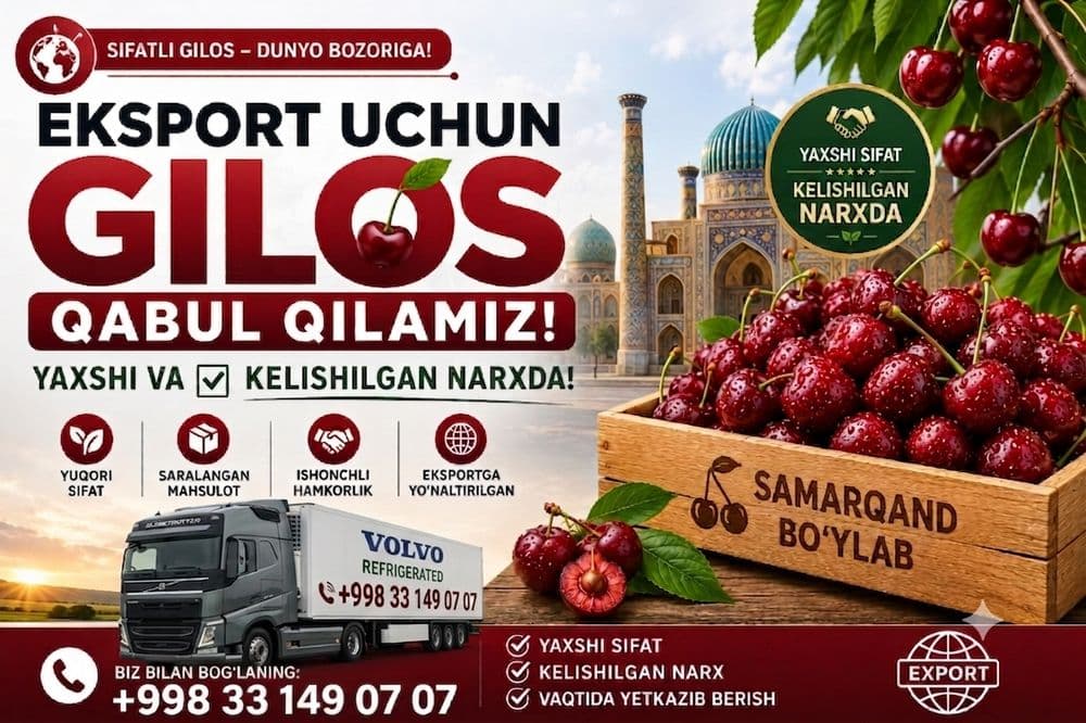 Eksport uchun gilos qabul qilamiz / Zakupka chereshni na eksport — 1