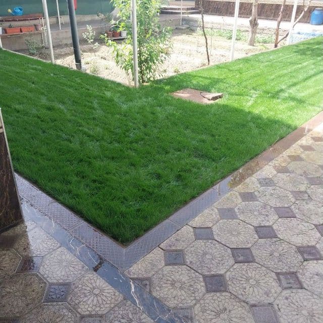 Gazon xizmati archa stirichk qilish landshaft dizayni xizmatlari — 3
