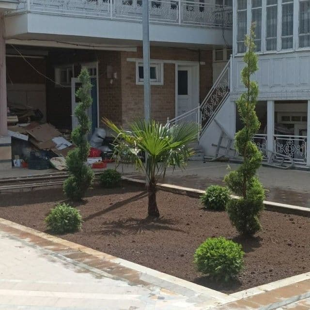 Gazon xizmati archa stirichk qilish landshaft dizayni xizmatlari — 5
