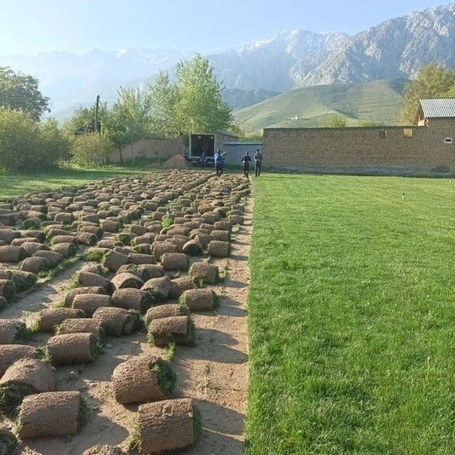 Gazon xizmati archa stirichk qilish landshaft dizayni xizmatlari — 6