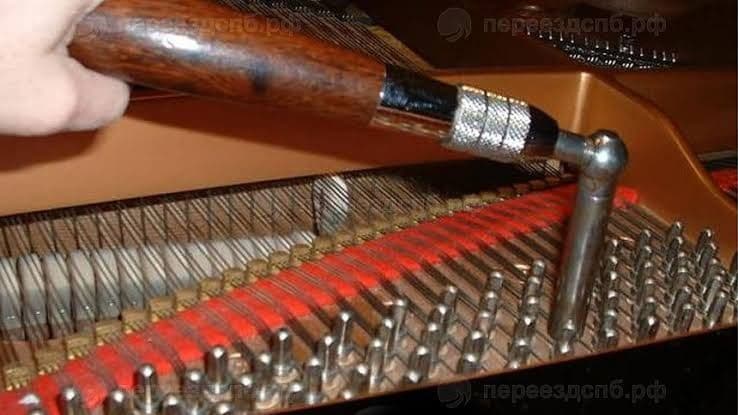 Nastroyka fortepiano Royal настройка фортепиано — 2
