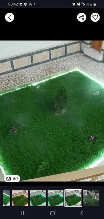 Ispaniya, Daniya gazon urug'lari ekib beriladi. — 1