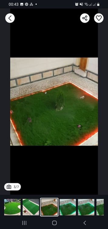 Ispaniya, Daniya gazon urug'lari ekib beriladi. — 2