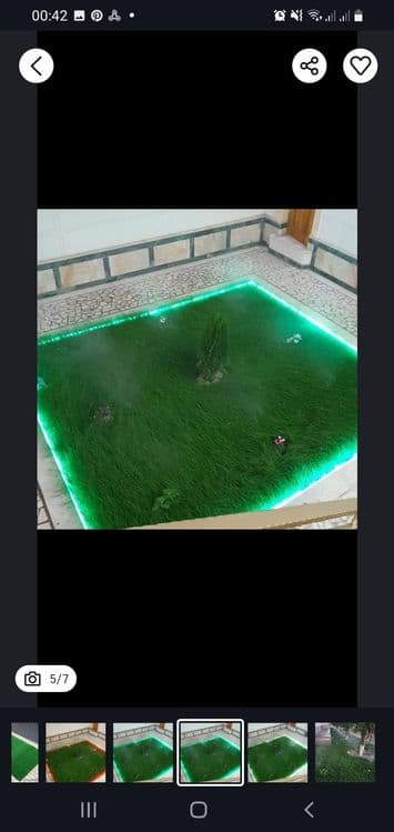 Ispaniya, Daniya gazon urug'lari ekib beriladi. — 3