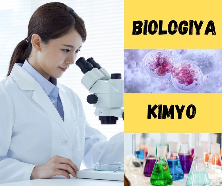 Biologiya va Kimyo ( биология / химия ) abiturientlar, m.chilonzor — 1