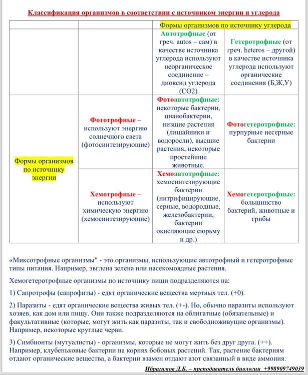 Репетитор по биологии — 3