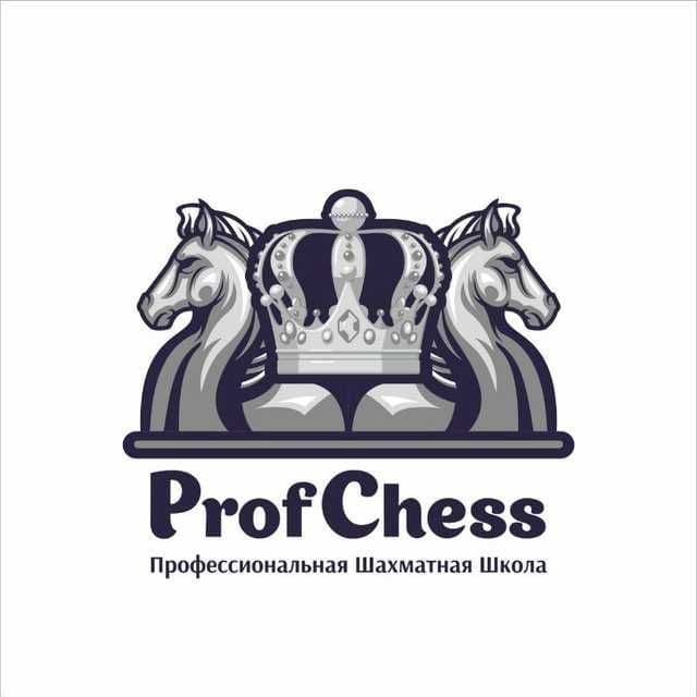 Филиал Мустакиллик. Профессиональная шахматная школа "ProfChess" — 4