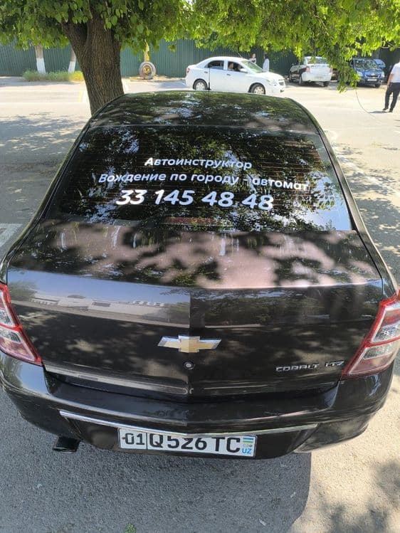 Профессиональный Автоинструктор (Cobalt-автомат)