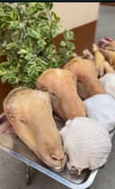 Kalla kalla pocha tozalab pishirib beraman калла калла поча тозалаб