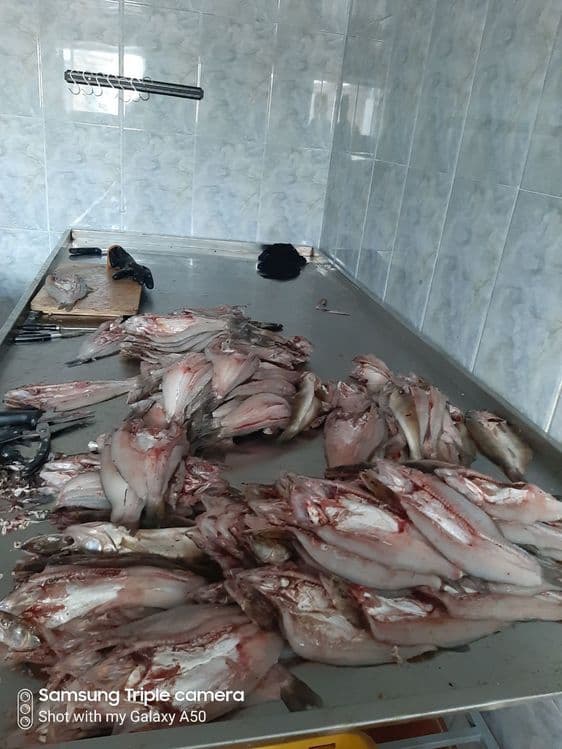 "Sazanchik servis savdo" Mchj MChj
Ишончл — 2