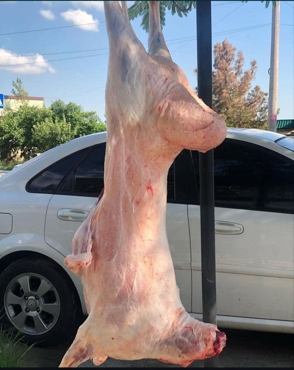 Qasaob hizmati halol va pokiza qib hizmat korasatmiz — 1