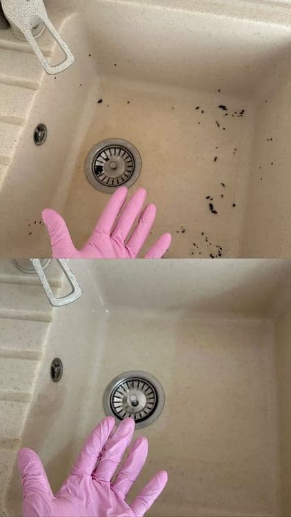 Ideal_cleaning_bukhara — 3