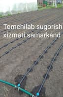 Tomchilab sugorish xizmati samarkand