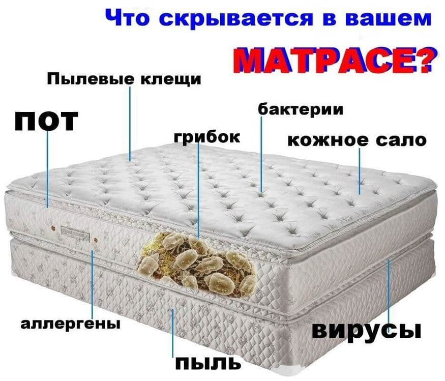 Выездная химчистка ковров и мягкой мебели на дому — 3