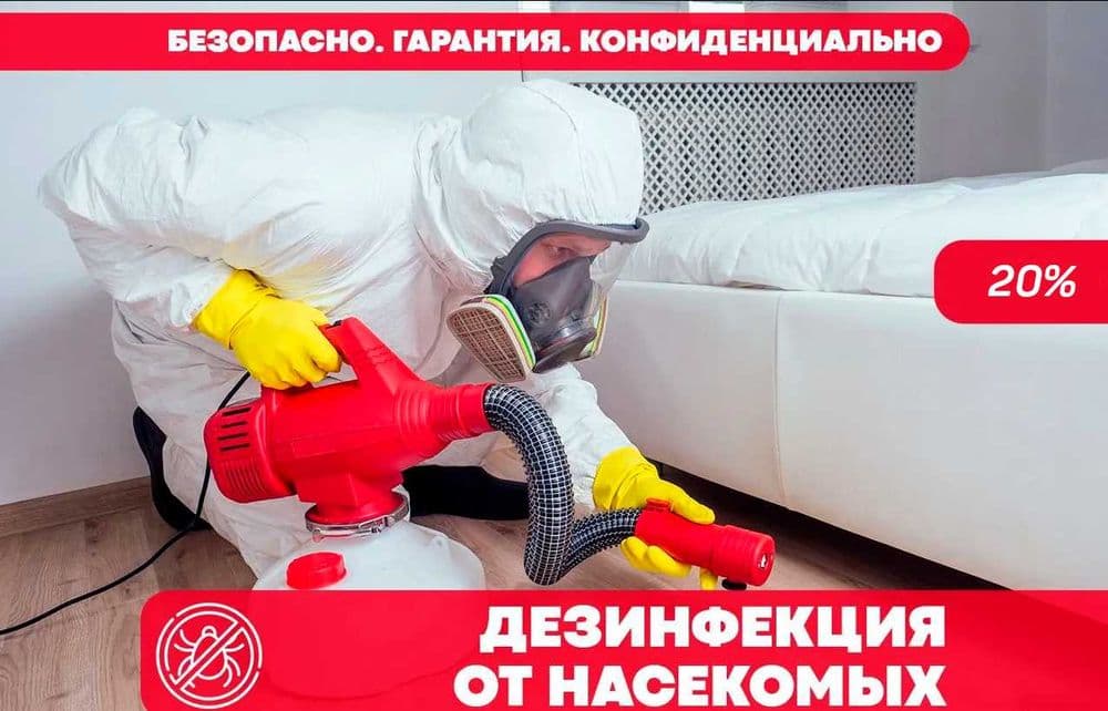 Dizinfeksiya klapa chumoli tarakan дезинфекция дезинсекция dezinfeksiy — 1