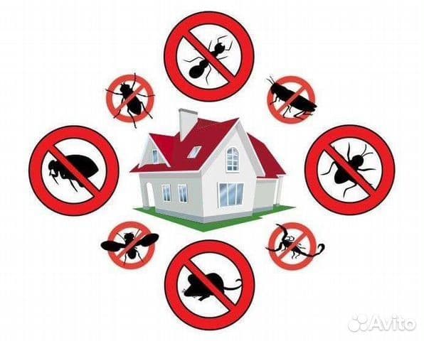 Дезинфекция, дезинсекция, дератизация,дезадарация — 1
