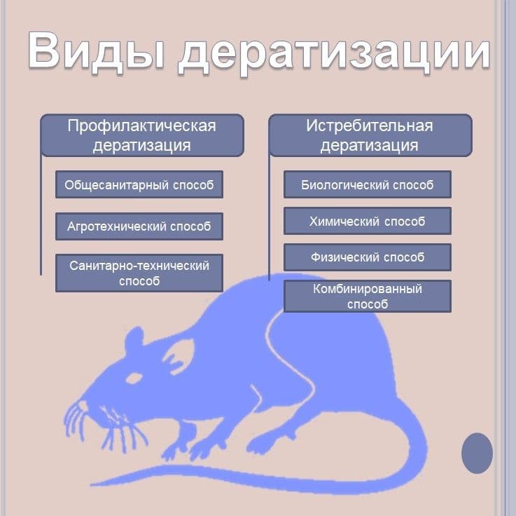Дезинфекция, дезинсекция, дератизация,дезадарация — 3