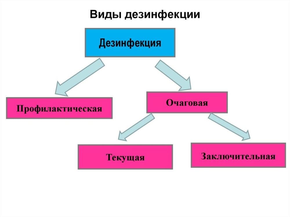 Дезинфекция, дезинсекция, дератизация,дезадарация — 4