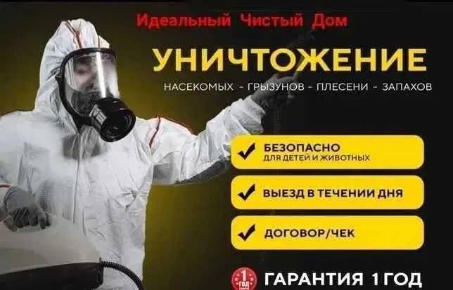 Дезинфекция Тараканов Клопов Мух Блох Клещей — 2