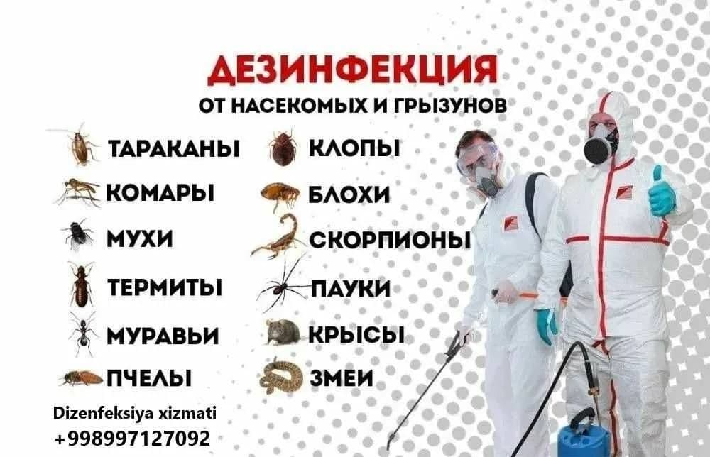 Дезинфекция Тараканов Клопов Мух Блох Клещей — 4