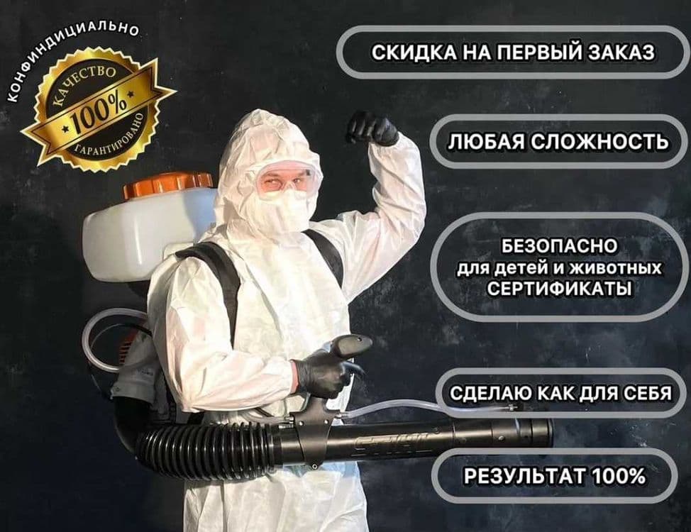 Dezinfeksiya Dizinfeksiya klapa Dizenfeksiya tarakan ilon chayon klopa