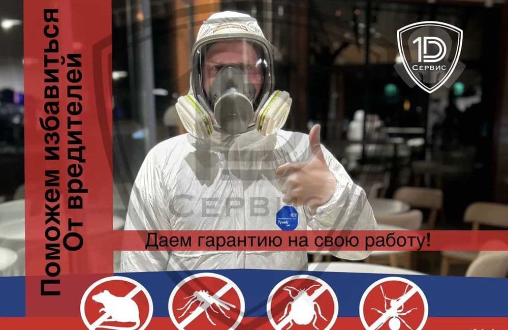 Dizinfeksiya klapa chumoli tarakan дезинфекция дезинсекция dezinfeksiy — 1